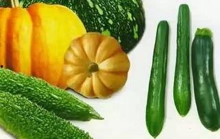 吃瓜网 免费吃瓜,畅享娱乐盛宴！