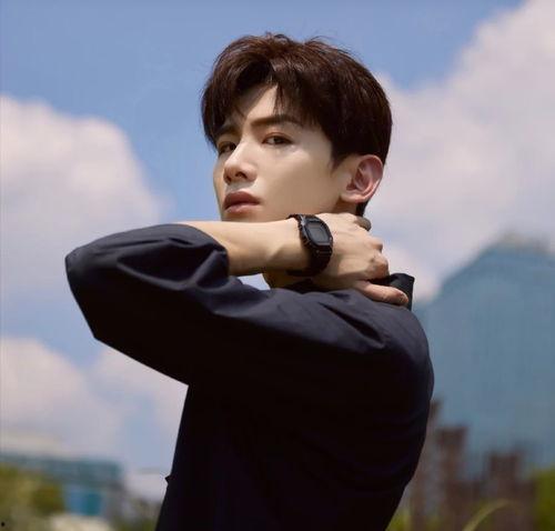 娱乐圈理性吃瓜白敬亭,娱乐圈理性吃瓜者的智慧与魅力