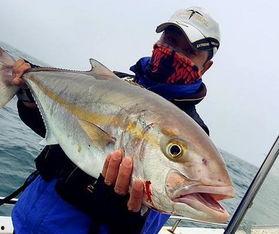 吃瓜网红鱼神,揭秘网红界的“瓜田”风云